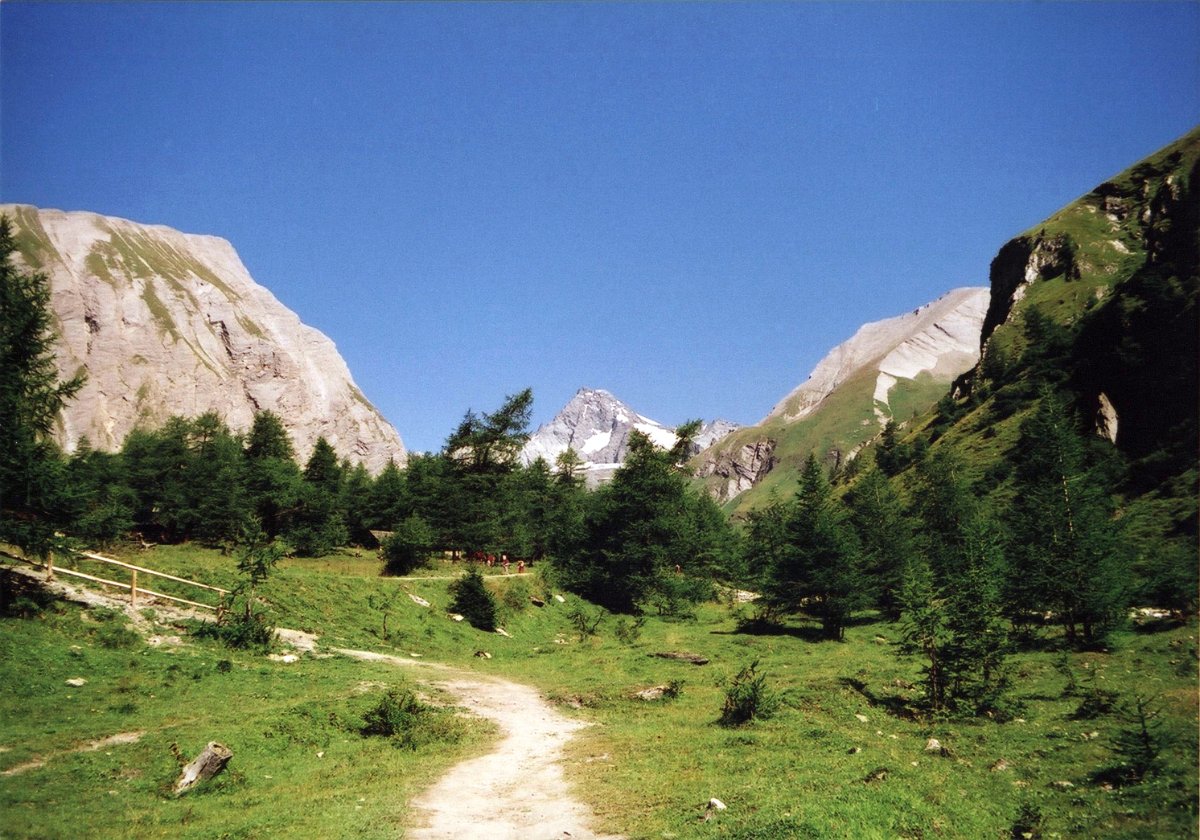 scan 006.jpg - Auf dem Weg von Kals zur Stüdlhütte am Glockner.